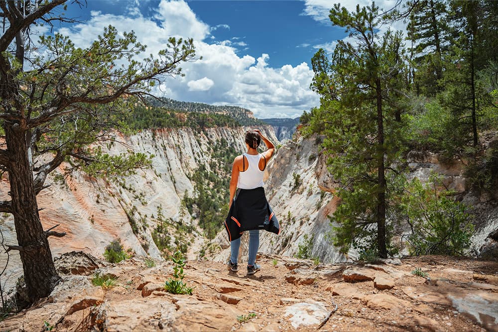 A person stands on a rocky ledge, gazing out over a vast canyon under a blue sky with clouds.