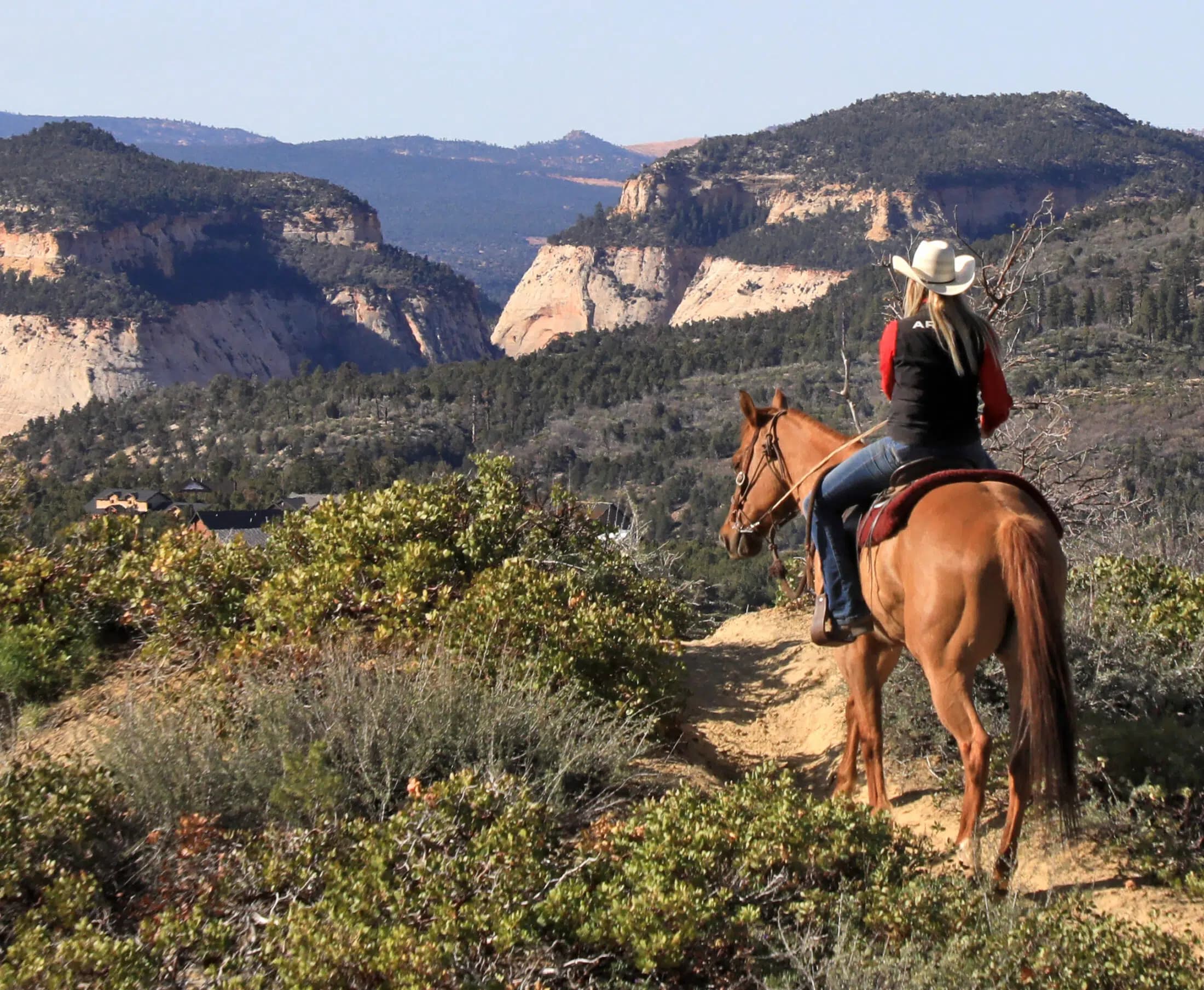 A person on horseback gazes at a scenic landscape of cliffs and greenery.