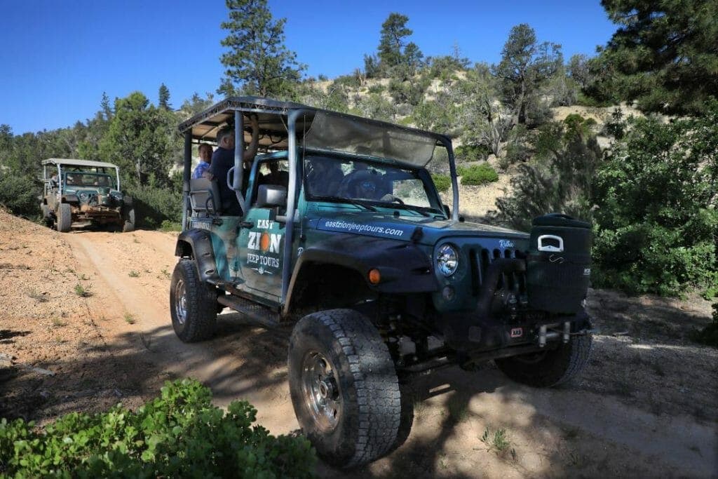 Two off-road vehicles parked on a dirt path surrounded by trees.