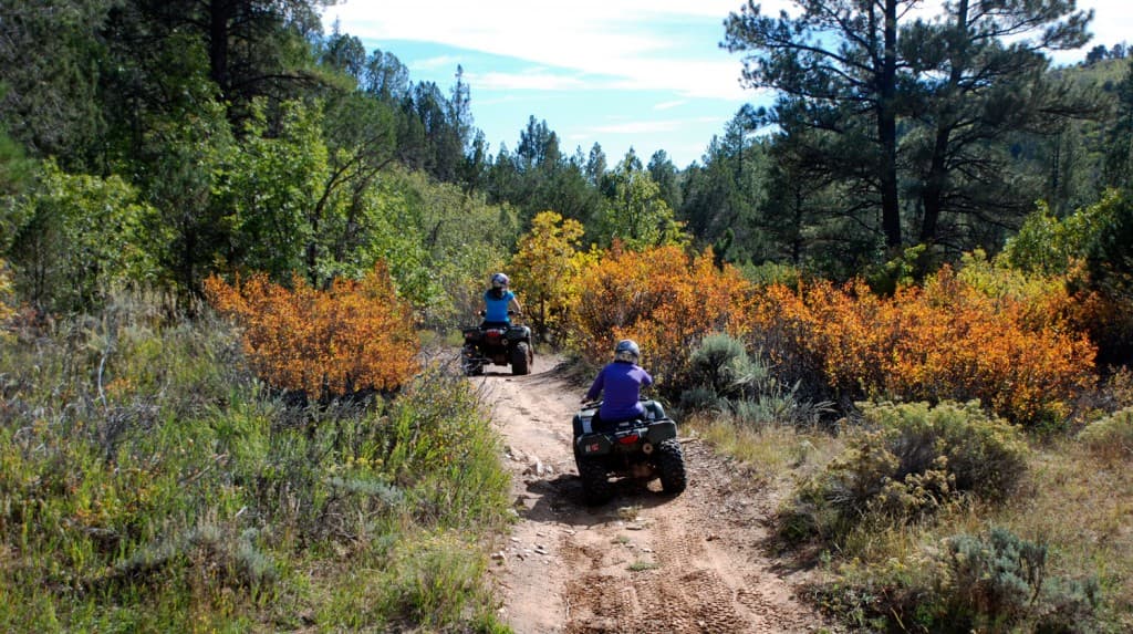 Two people riding ATVs on a dirt trail surrounded by trees and autumn-colored bushes.