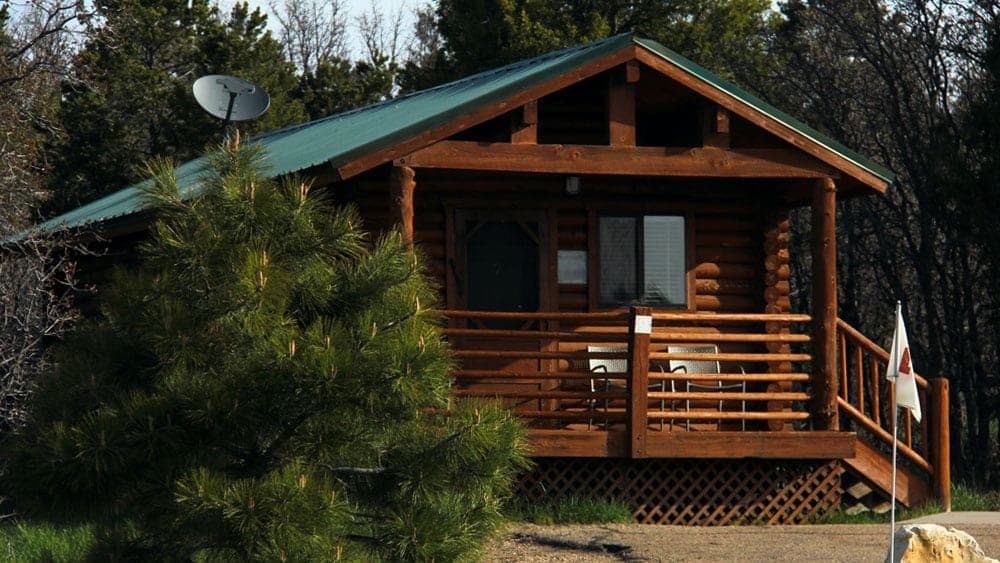 A rustic wooden cabin with a green roof surrounded by trees.