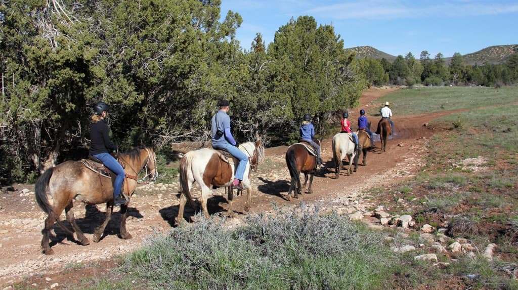 A group of people on horseback riding along a dirt trail surrounded by greenery.