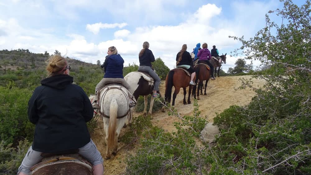 A group of six people rides horses along a hillside trail under a cloudy sky.