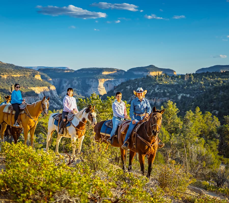 Four riders on horses stand on a hillside with a scenic mountain backdrop under a clear blue sky.