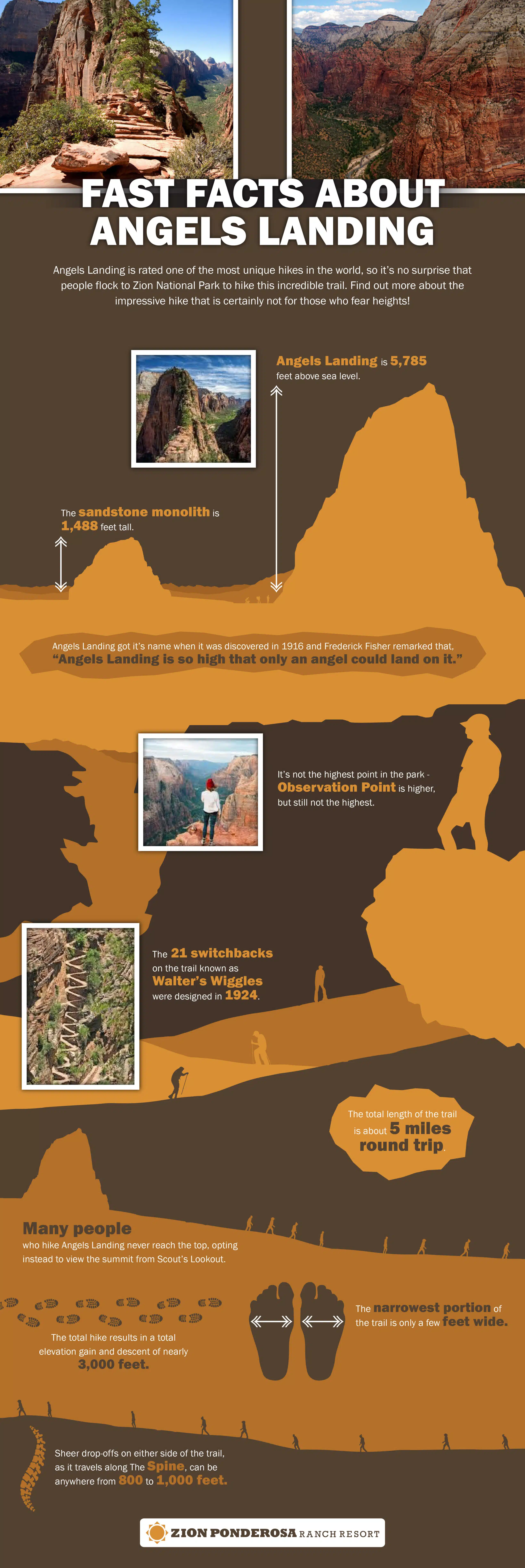 An infographic providing essential facts about Angels Landing, including its height, trail length, and notable features.