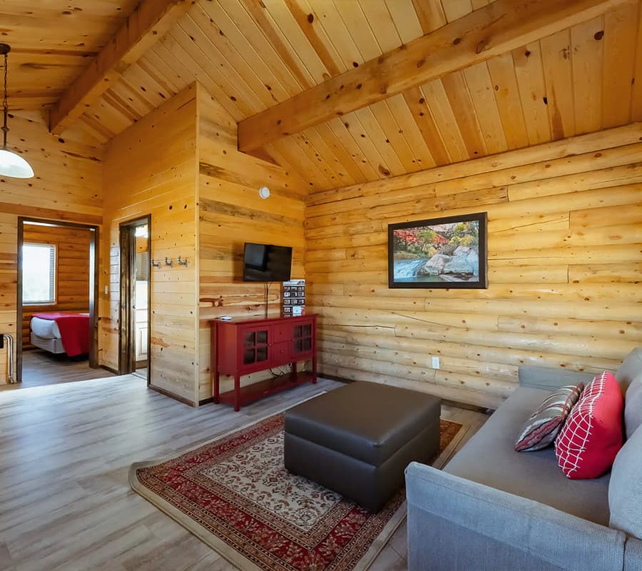 Cozy wooden living room with a sofa, coffee table, and a television.