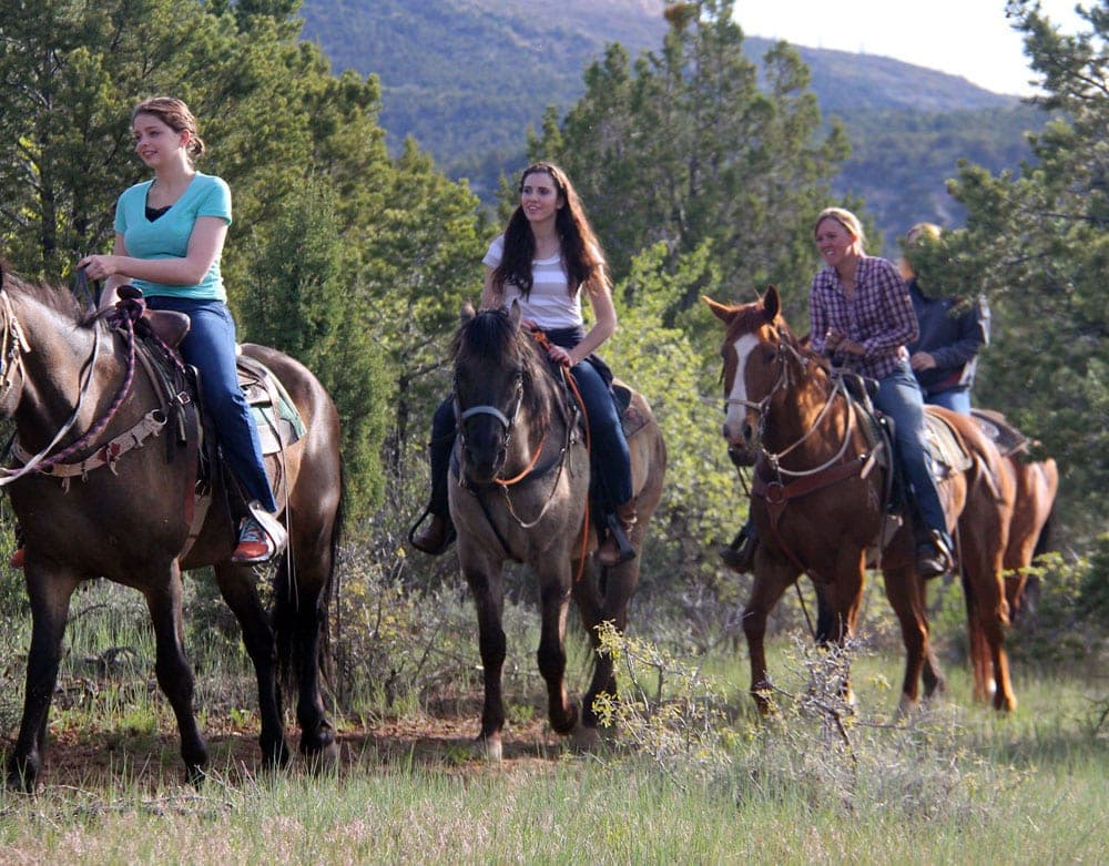 Four people riding horses along a wooded trail.