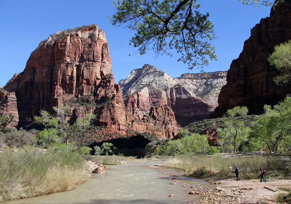 A river flows through a canyon flanked by towering red rock formations and greenery under a clear blue sky.