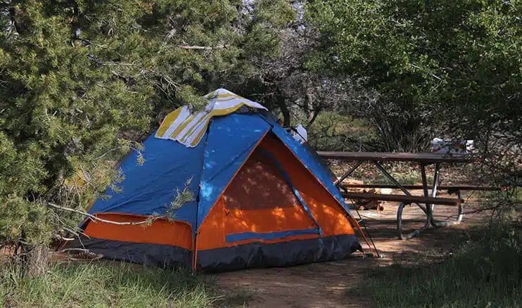 A colorful blue and orange tent is set up in a wooded campsite near a picnic table.