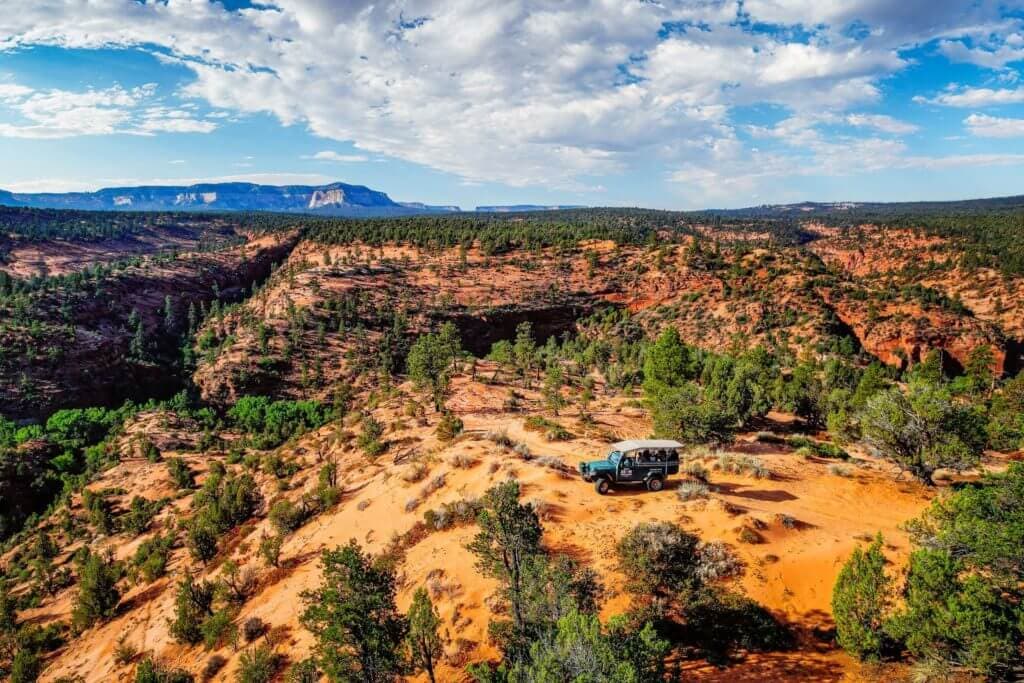 A jeep parked on a rocky terrain surrounded by lush green trees and vast red canyons under a blue sky.