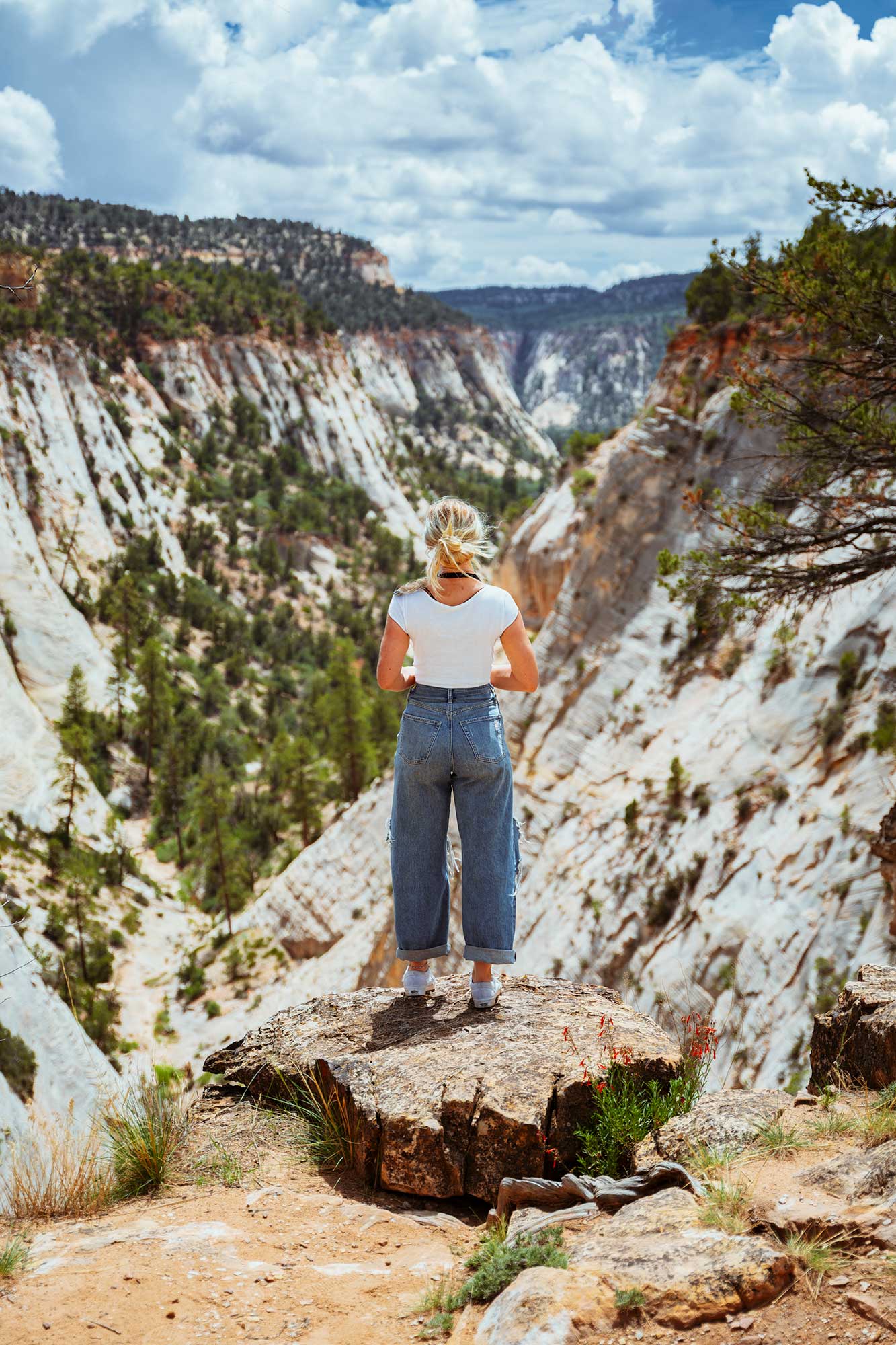 A woman stands on a rock overlooking a stunning canyon landscape under a blue sky with scattered clouds.