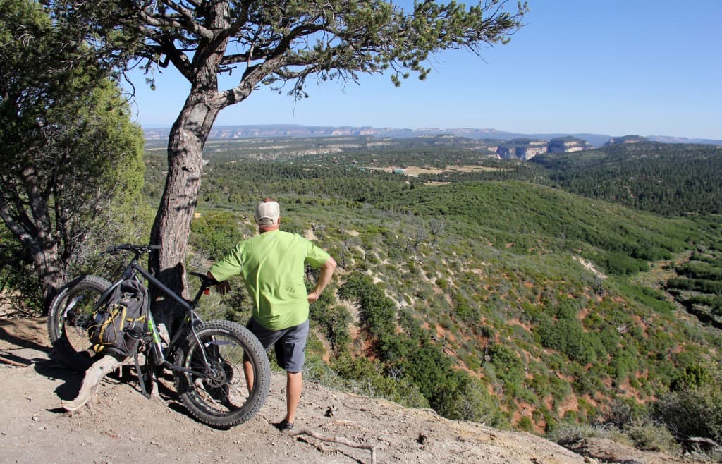 A person stands beside a mountain bike, gazing out over a sprawling green valley.