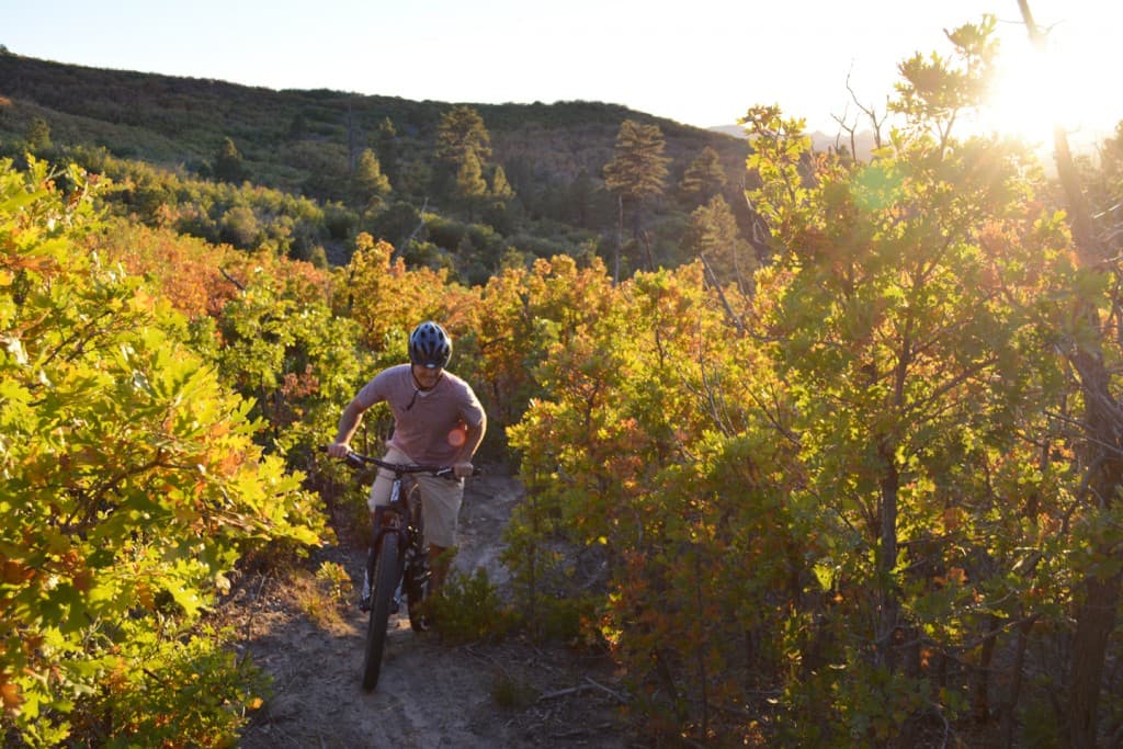 A mountain biker navigates a trail through colorful foliage at sunset.