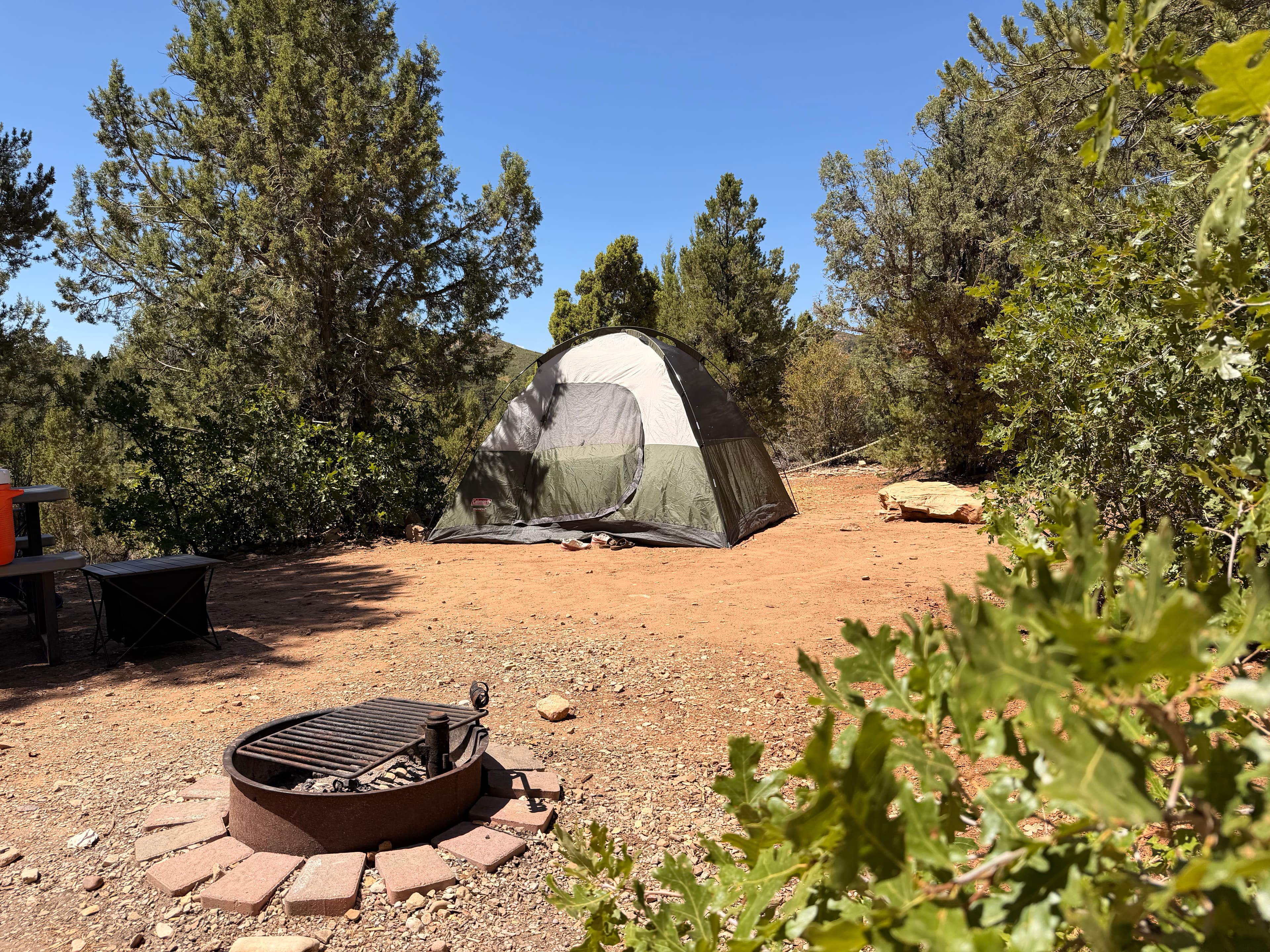 A camping site featuring a tent and a fire pit surrounded by trees.