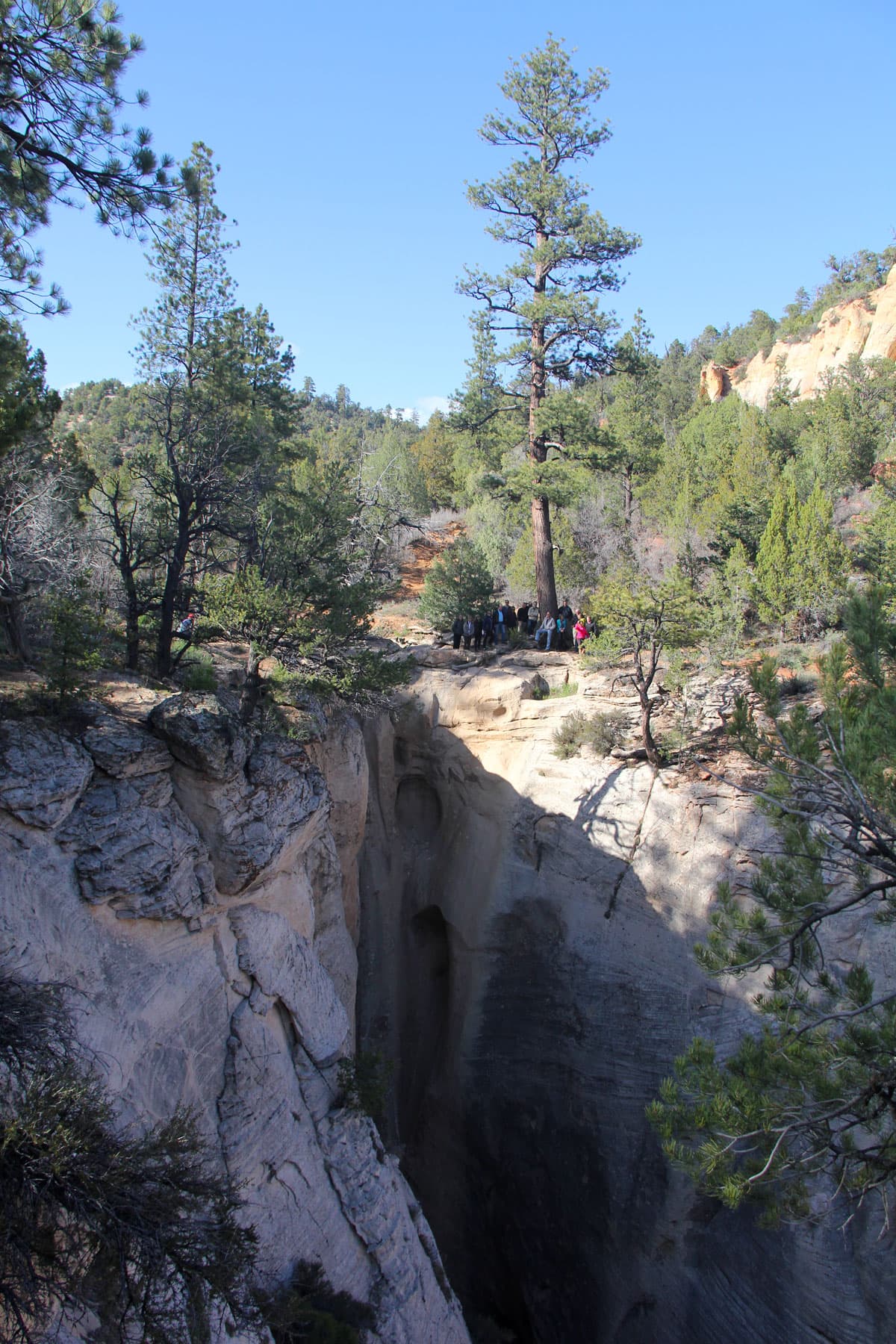 A deep canyon surrounded by trees with a group of people visible on the rim.