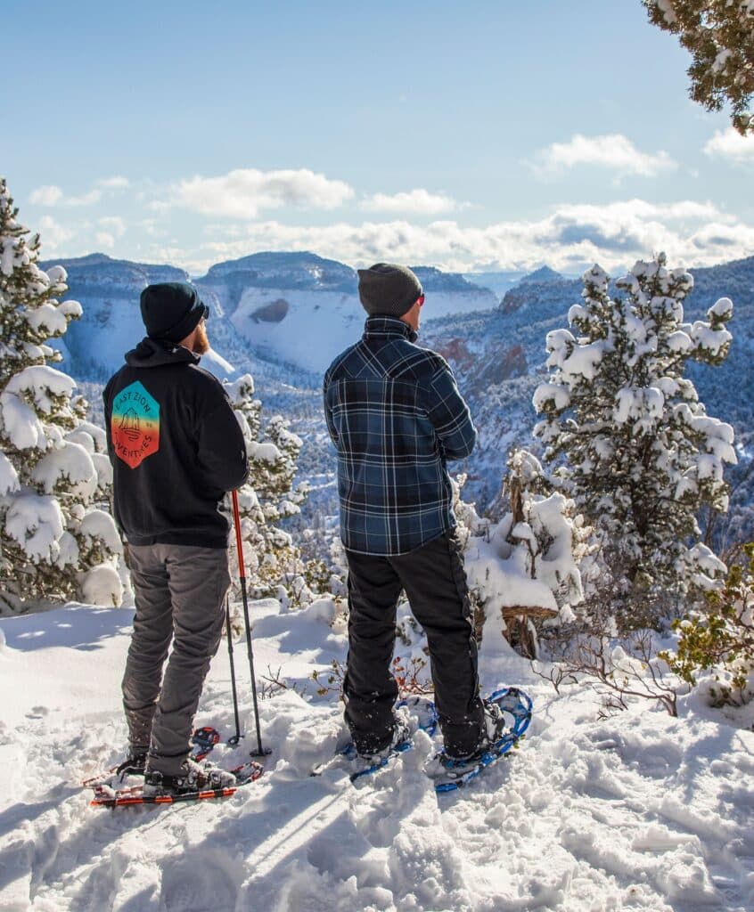 Two people in snowshoes stand on a snowy landscape, gazing at a mountain view under a clear blue sky.