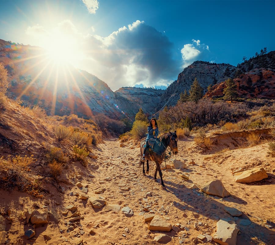 A person rides a horse along a rocky path under a bright sun and blue sky.