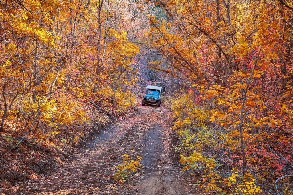 A tractor drives down a dirt path surrounded by vibrant autumn foliage.