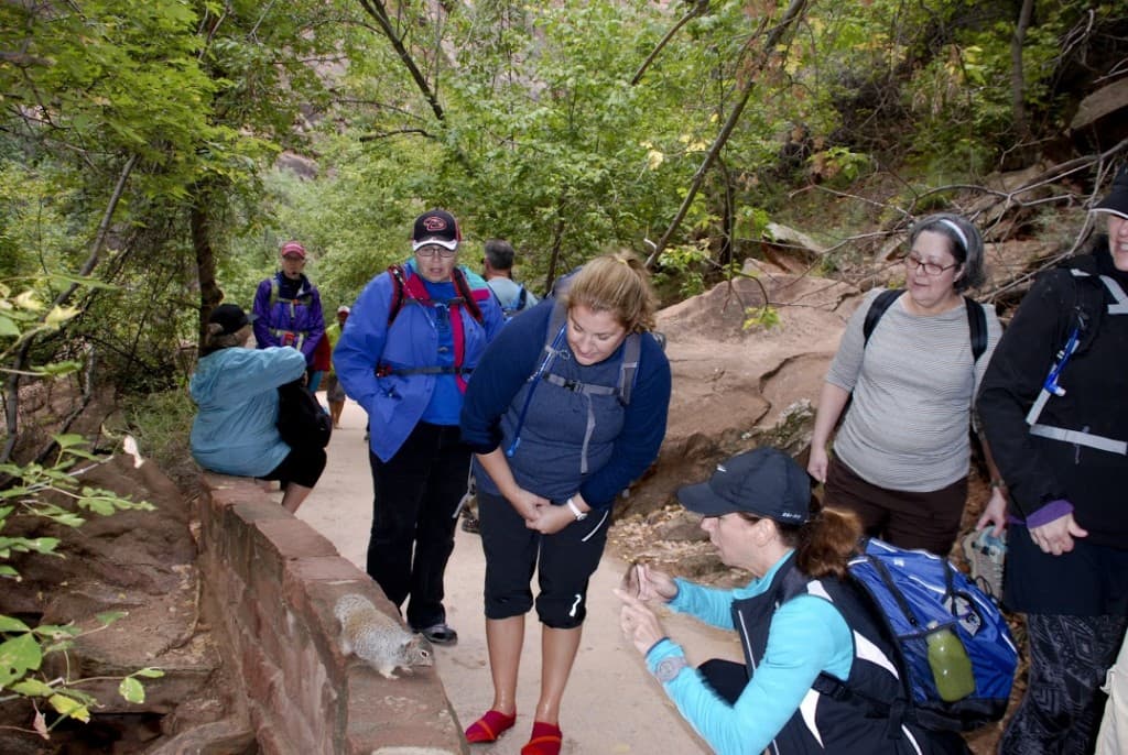 A group of hikers interacts with a squirrel on a trail surrounded by lush greenery.