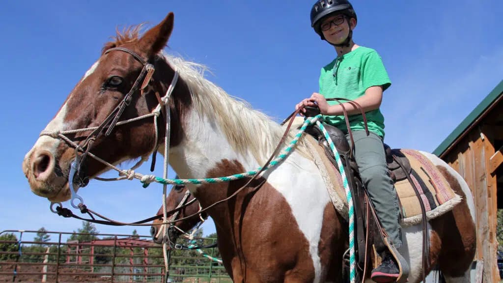 A boy in a green shirt and helmet sits on a brown and white horse against a blue sky.