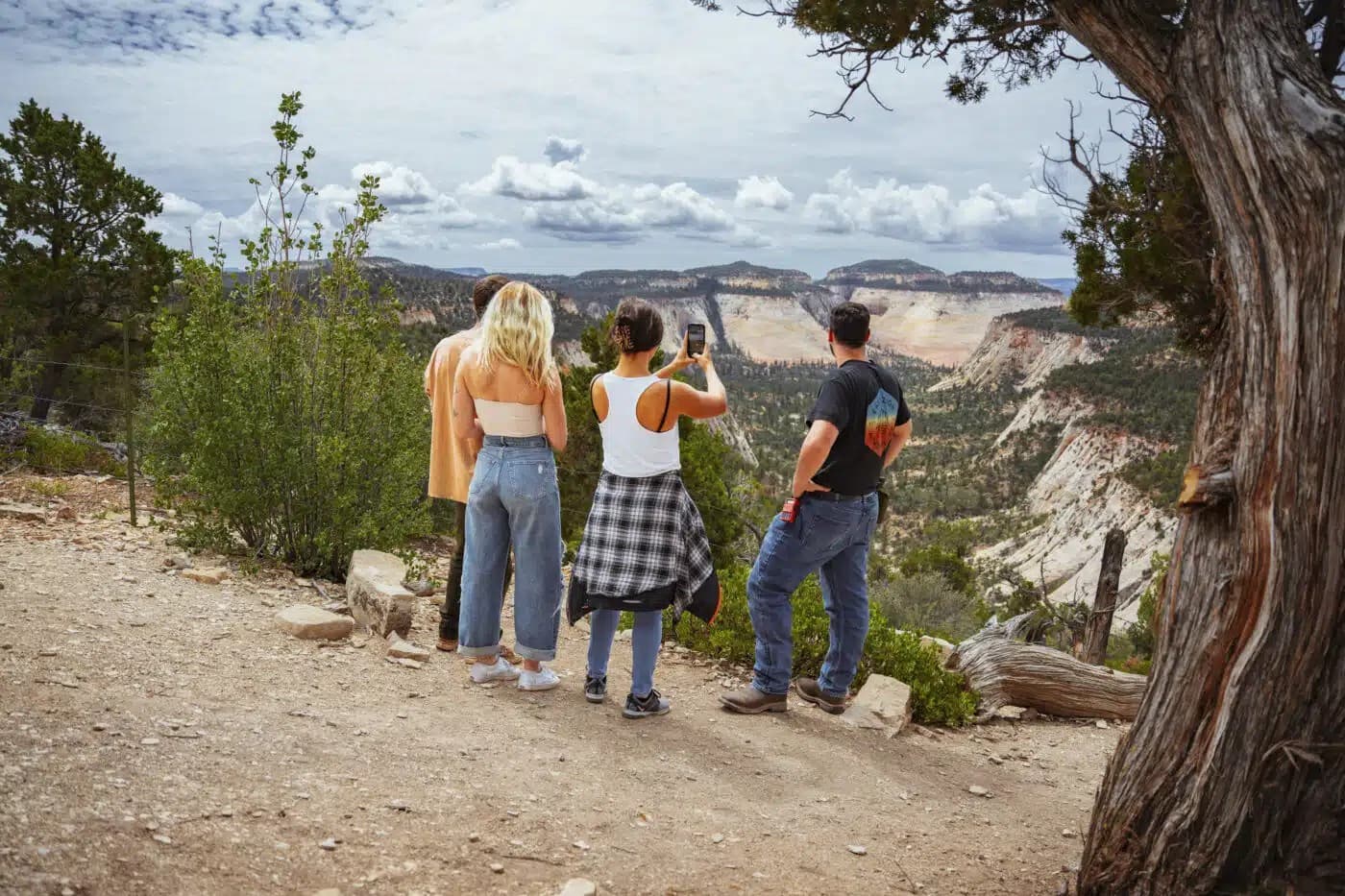 Three people admire a scenic landscape, with rocky formations and a cloudy sky in the background.