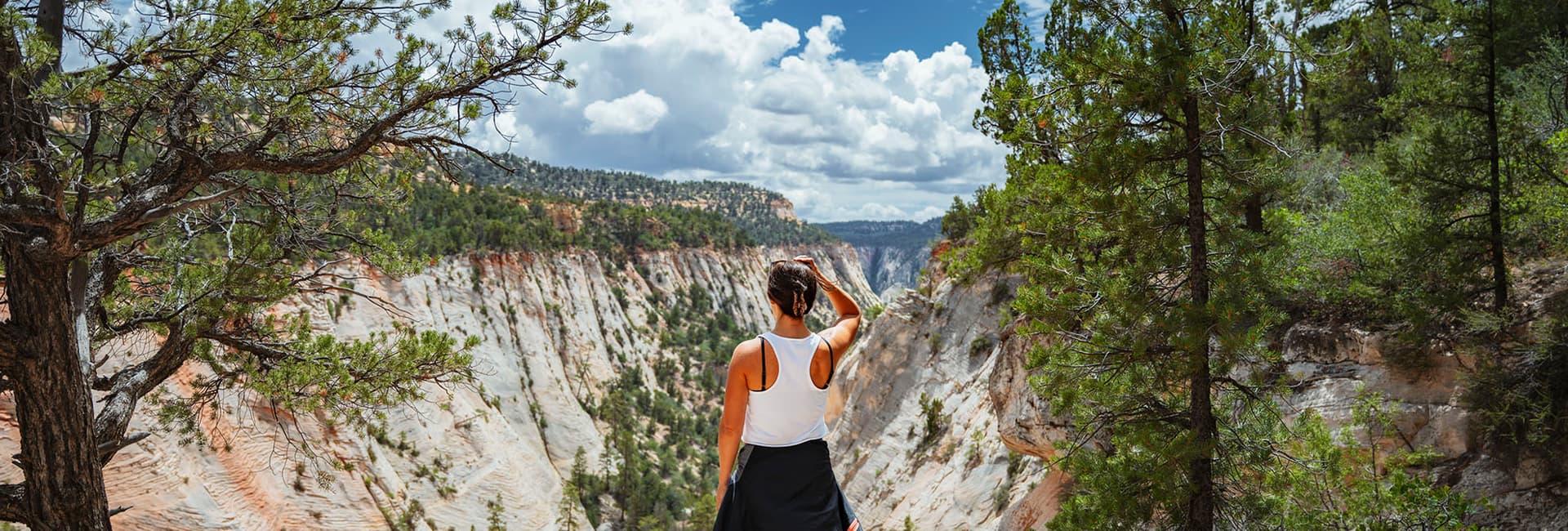 A person stands on a cliff overlooking a canyon under a partly cloudy sky.
