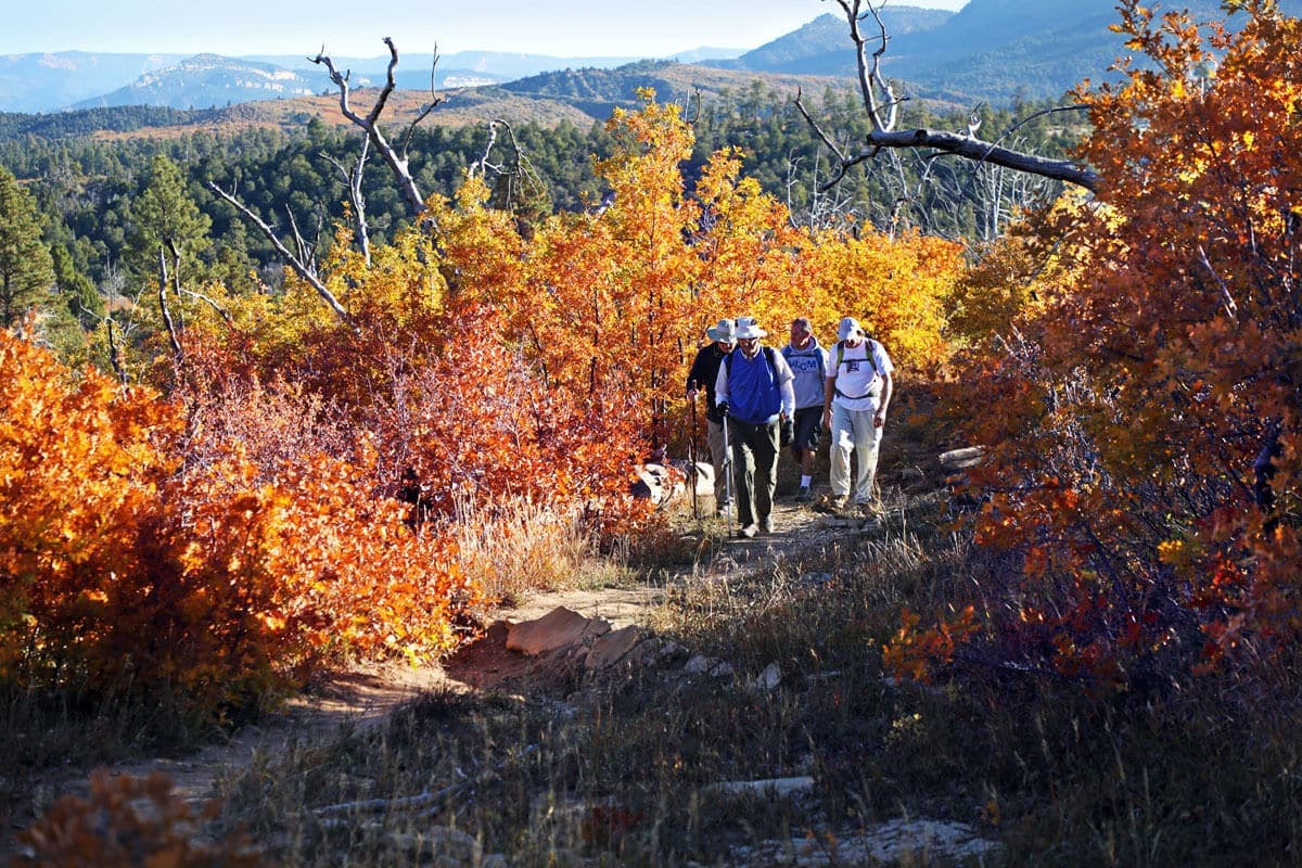 A group of hikers walks along a trail surrounded by vibrant autumn foliage.