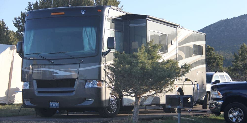 A large, gray recreational vehicle parked near a small tree with mountains in the background.