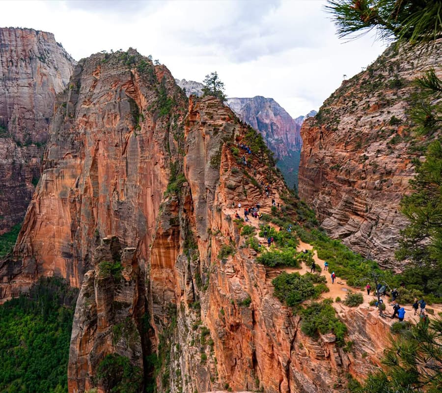 A panoramic view of hikers on a narrow trail along the edge of red rock cliffs in Zion National Park.