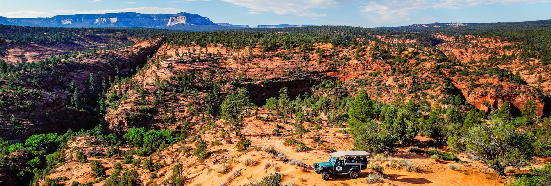 A jeep parked on a rugged desert landscape with vibrant red rock formations and green vegetation.