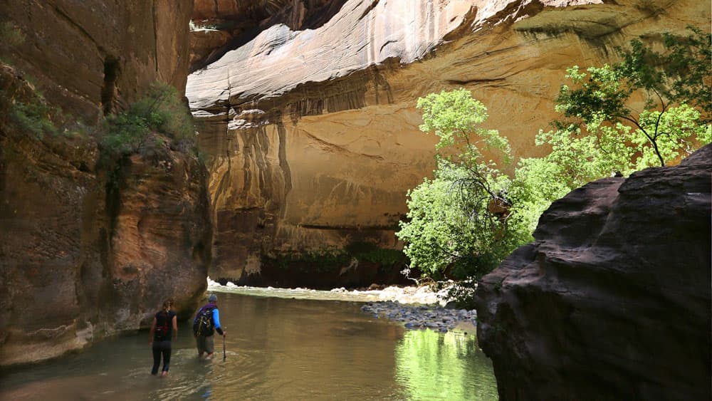 Two hikers wade through a narrow river surrounded by towering cliffs and lush greenery.