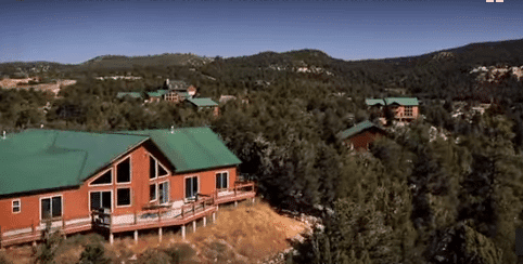 Aerial view of a wooded area featuring several cabins with green roofs.
