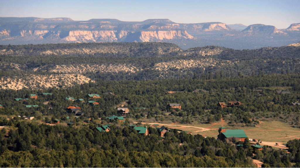 Aerial view of a forested landscape with scattered green-roofed cabins and distant mountains.