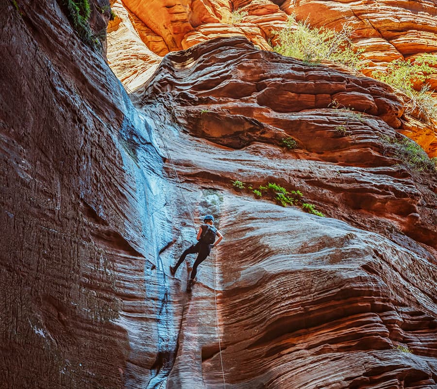 A climber ascending a steep, rocky canyon wall bathed in sunlight.