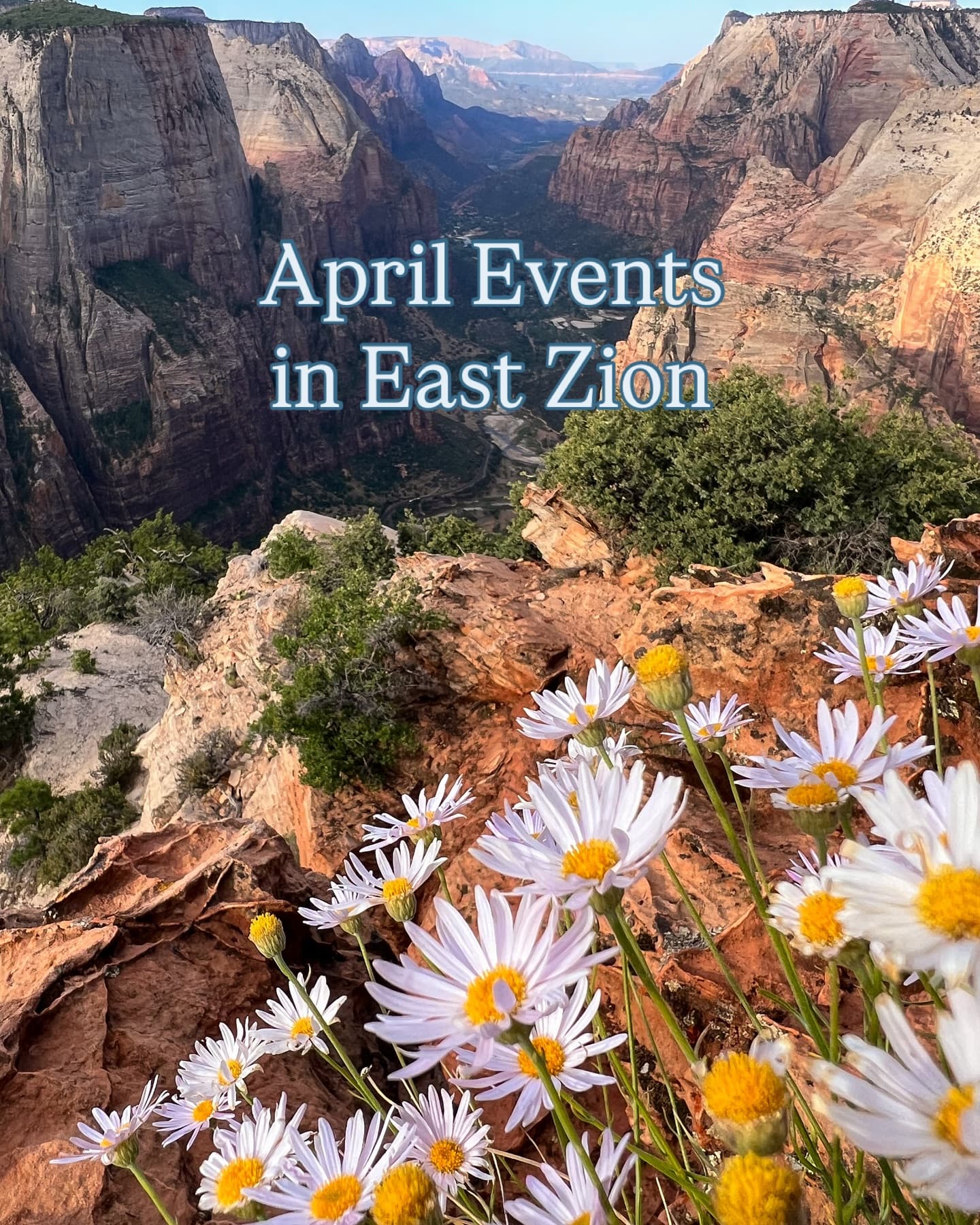 A scenic view of East Zion with wildflowers in the foreground and the valley in the background, featuring text about April events.