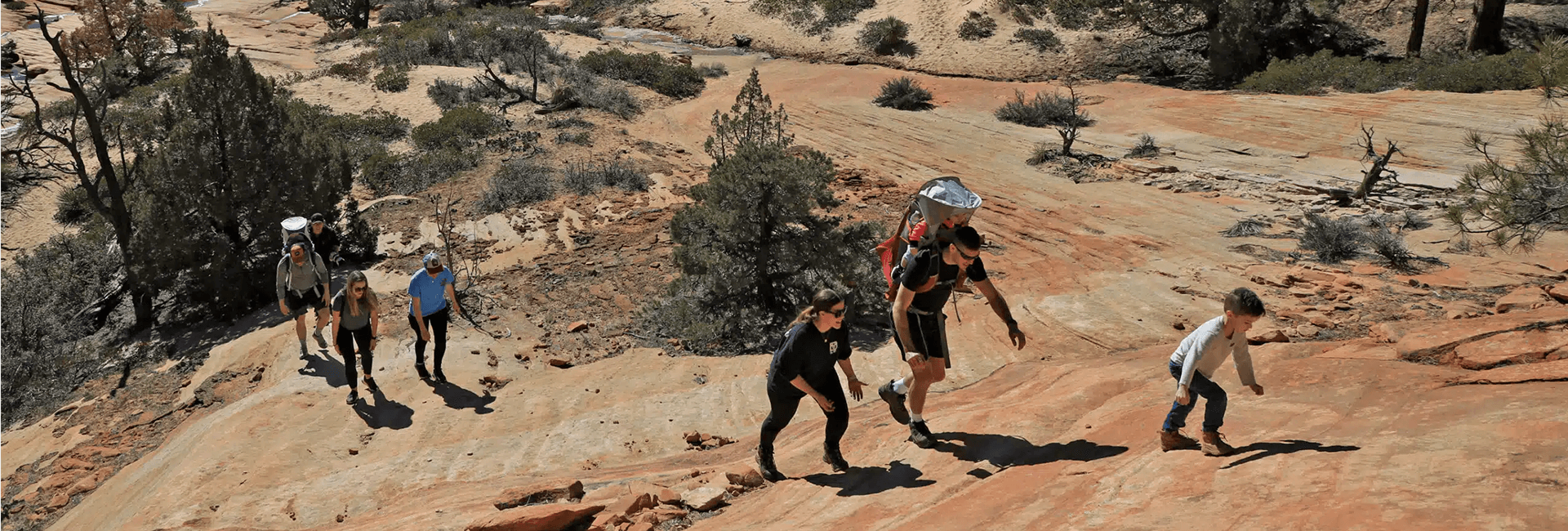 A group of hikers ascends a rocky terrain surrounded by sparse trees and desert landscape.