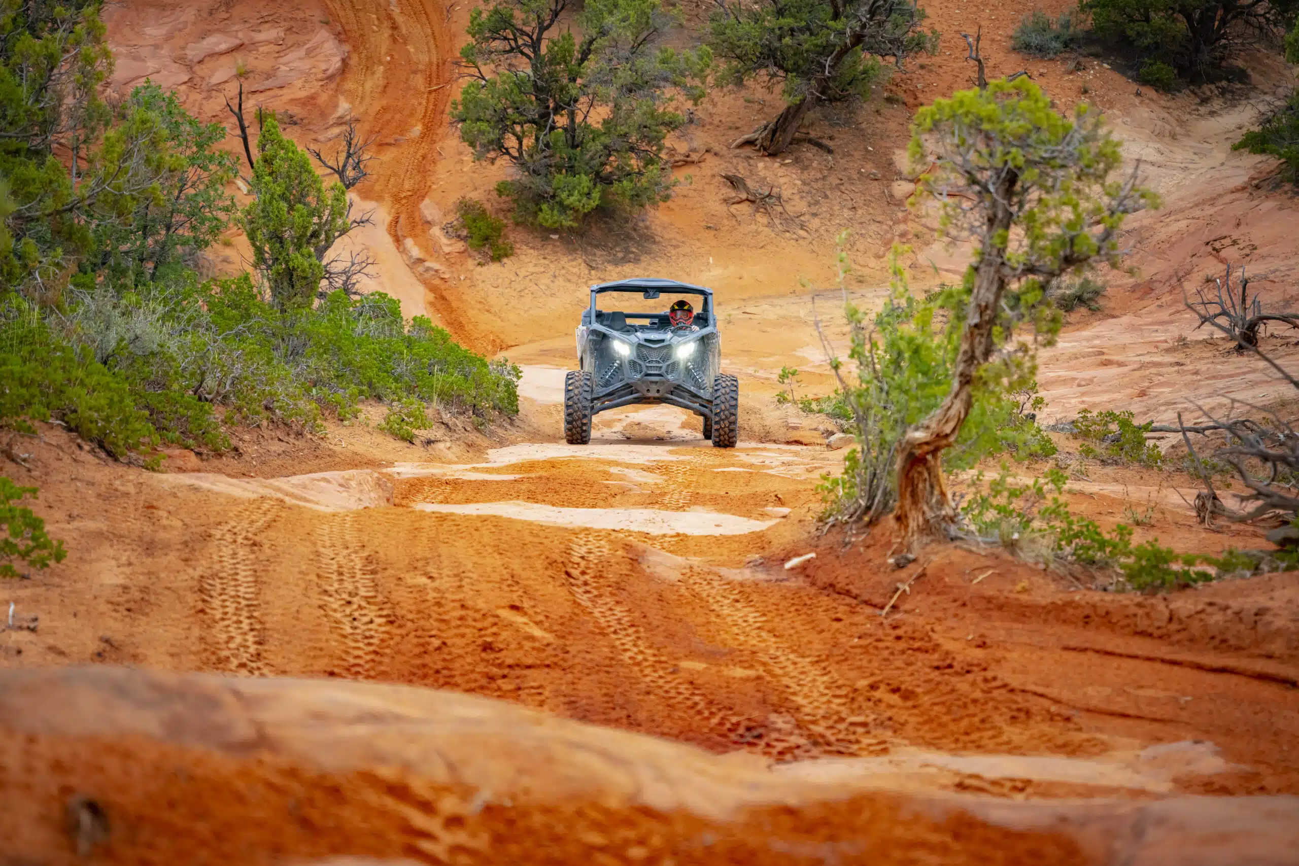 A vehicle navigates a rocky, red dirt terrain surrounded by greenery.