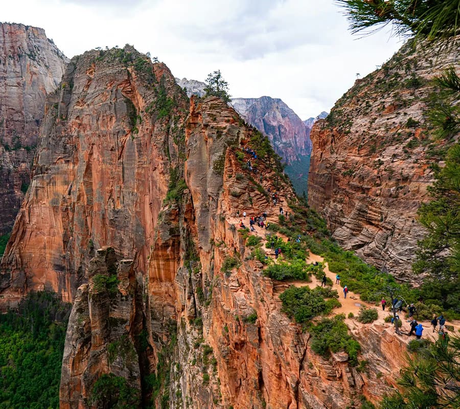A narrow path winds along a rocky cliff in Zion National Park, with hikers enjoying the stunning landscape.