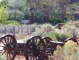 An old wooden wagon sits among overgrown plants and trees in a rustic landscape.