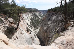 A deep, rocky canyon surrounded by trees under a partly cloudy sky.