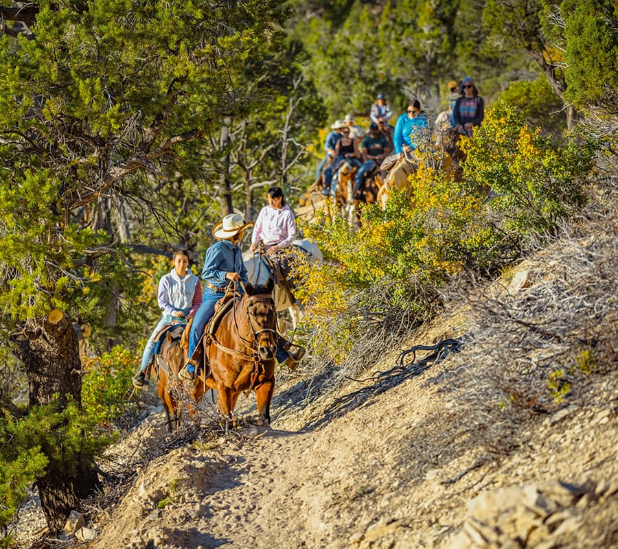 A group of horseback riders traverses a narrow trail surrounded by trees and wildflowers.