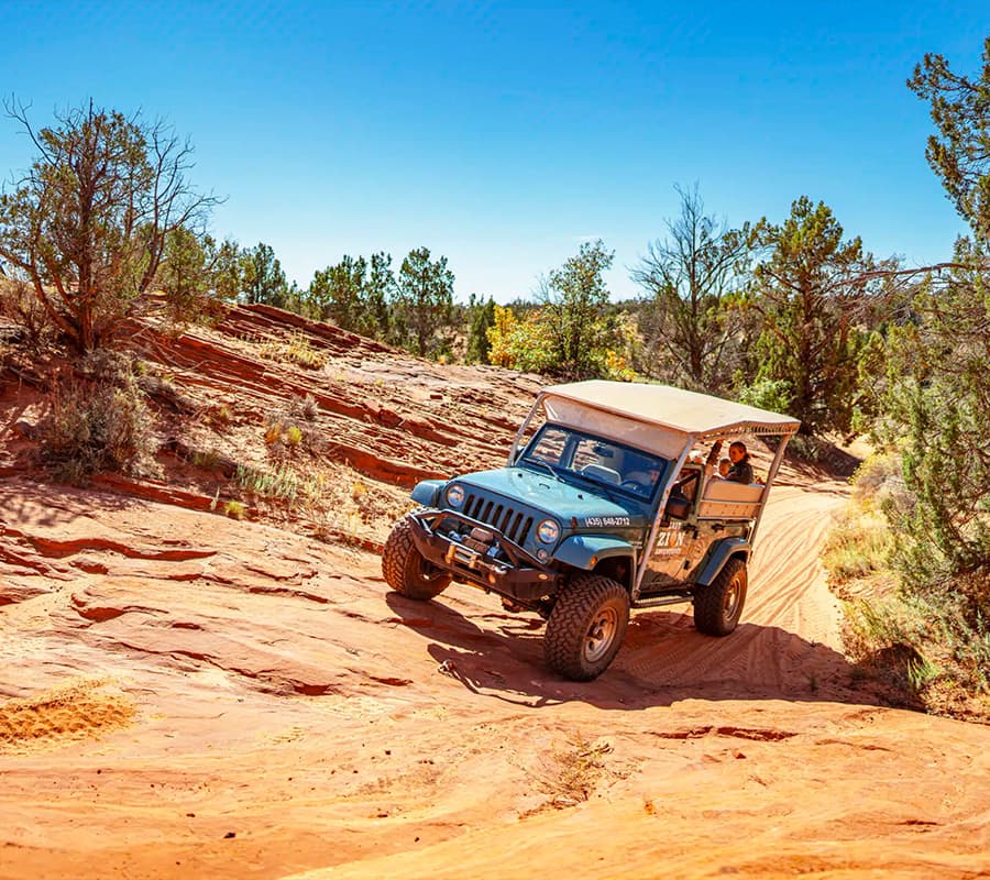 A blue Jeep climbs a sandy trail surrounded by trees against a clear blue sky.