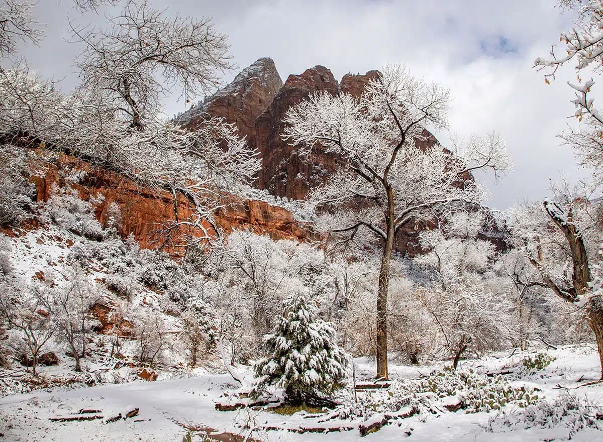 Snow-capped red rock formations under a clear blue sky.