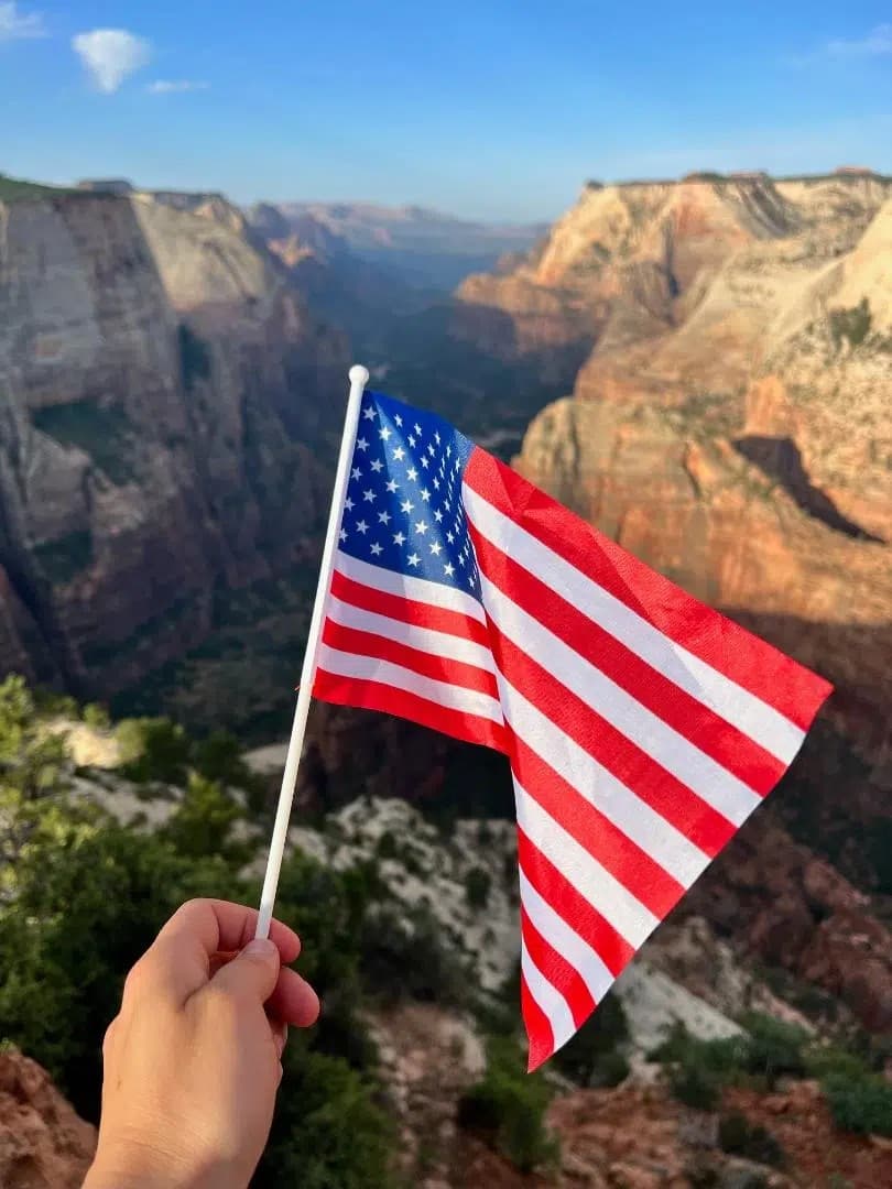 A hand holds a small American flag against a backdrop of a canyon landscape.