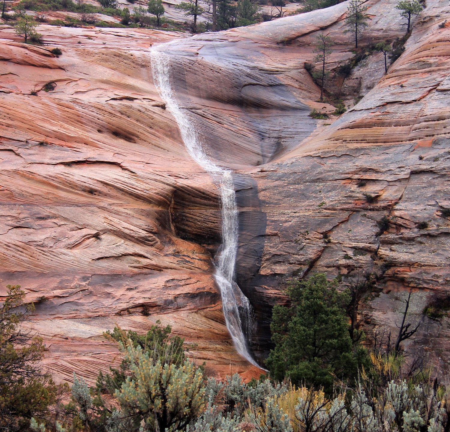 A waterfall courses over the rough surfaces of a sandstone formation in Zion National Park.