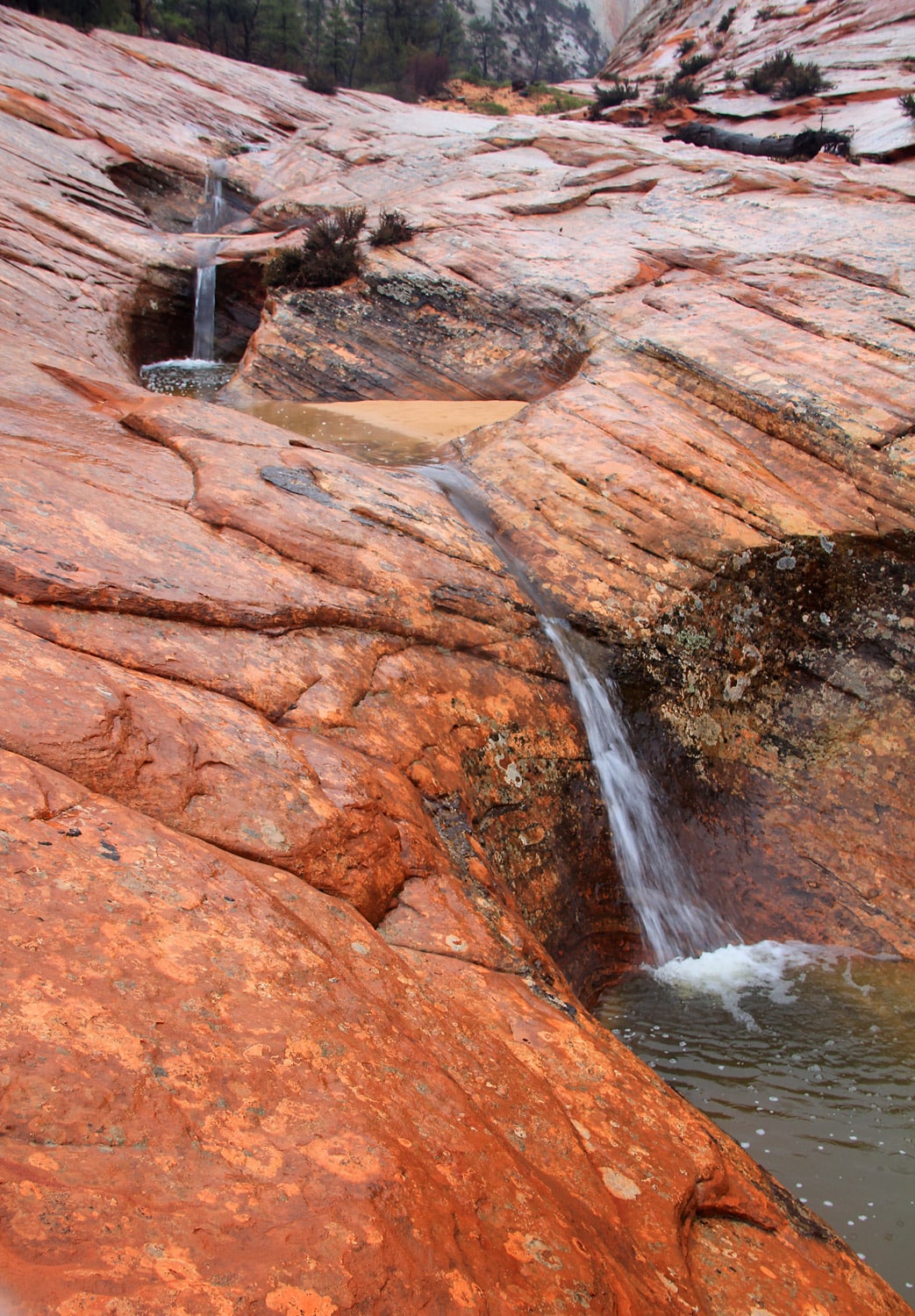Small waterfalls stair-step their way down across formations in Zion National Park