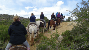 Horseback Riding Zion Ponderosa