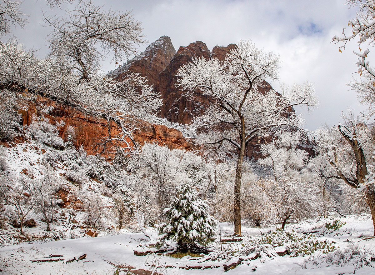 Winter Zion National Park Utah