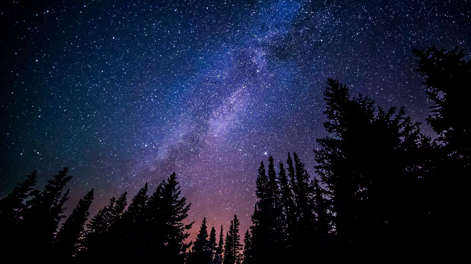 Night Sky Program In Zion National Park | Zion Ponderosa