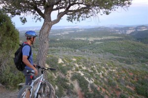 Zion Ponderosa Pine Knoll | National Biking Month